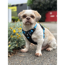 Ultimate Dog Harness